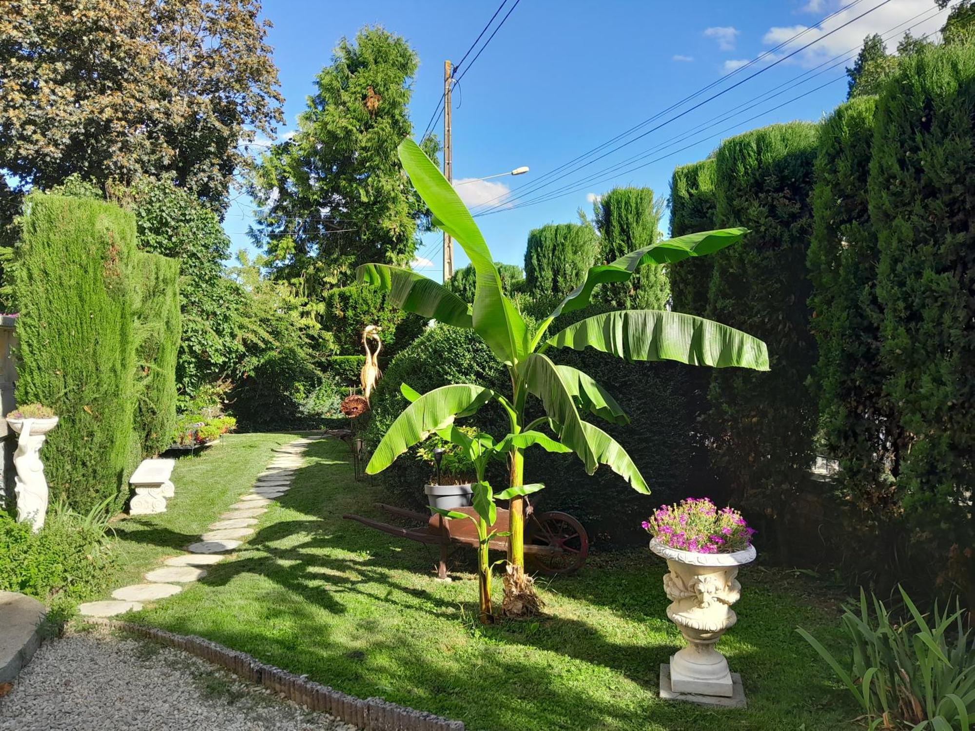 Bed and Breakfast Le Madrigal Mamers Exteriér fotografie